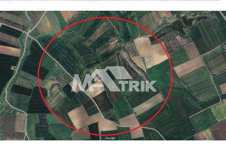 Αγροτεμάχια 6.086τ.μ. για πώληση-Θέρμη » Τρίλοφο
