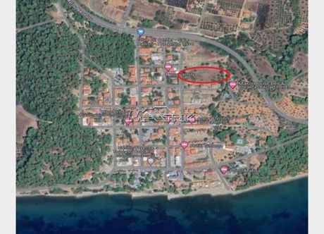 Αγροτεμάχια 1.319 τ.μ. για πώληση