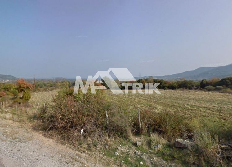 Αγροτεμάχια 10.116 τ.μ. προς πώληση, Ολυμπιάδα Χαλκιδικής