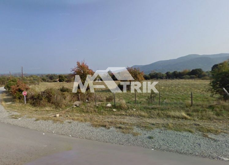 Αγροτεμάχια 10.116 τ.μ. προς πώληση, Ολυμπιάδα Χαλκιδικής
