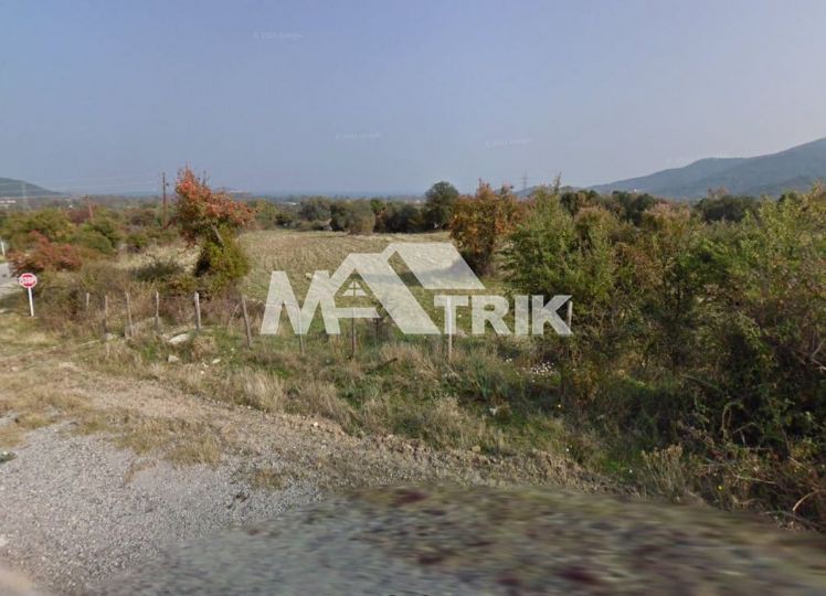 Αγροτεμάχια 10.116 τ.μ. προς πώληση, Ολυμπιάδα Χαλκιδικής