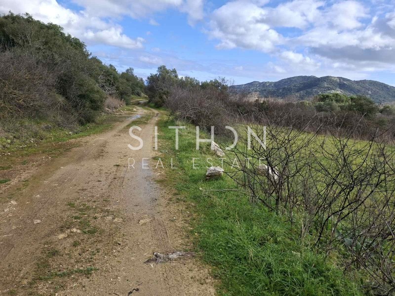 Αγροτεμάχια 1.707 τ.μ. προς πώληση, Συκιά Τορώνης