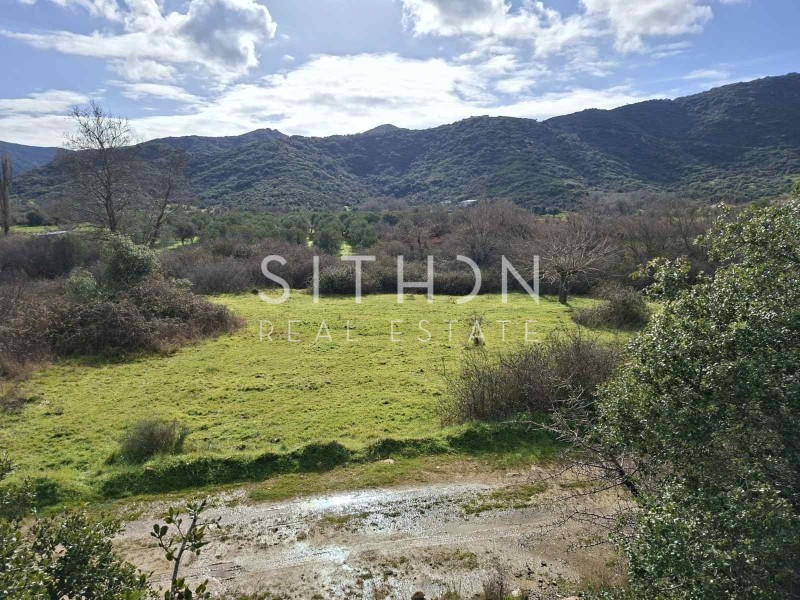 Αγροτεμάχια 1.707 τ.μ. προς πώληση, Συκιά Τορώνης
