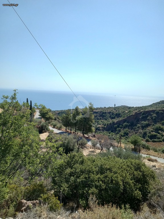 Οικόπεδο 665 τ.μ. προς πώληση, Άγιοι Θεόδωροι Μεθάνων