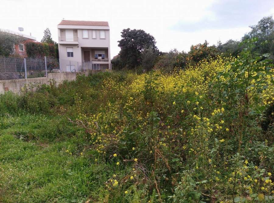 Οικόπεδο 450 τ.μ. προς πώληση, Μονοδένδρι Βραχναιίκων