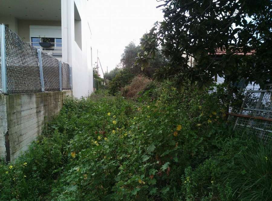 Οικόπεδο 450 τ.μ. προς πώληση, Μονοδένδρι Βραχναιίκων