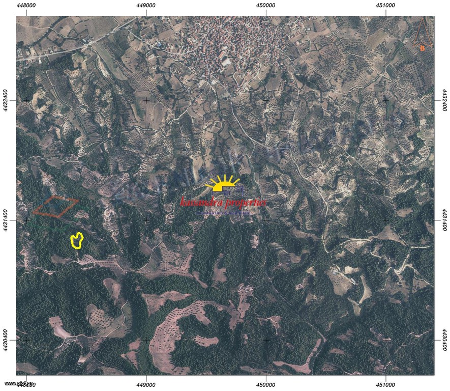 Αγροτεμάχια 7.161 τ.μ. πρός πώληση, Χαλκιδική, Κασσάνδρα