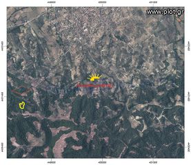 Αγροτεμάχια 7.161 τ.μ. για πώληση, Χαλκιδική, Κασσάνδρα-thumb-2