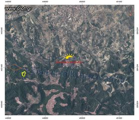 Αγροτεμάχια 7.161 τ.μ. για πώληση, Χαλκιδική, Κασσάνδρα-thumb-5