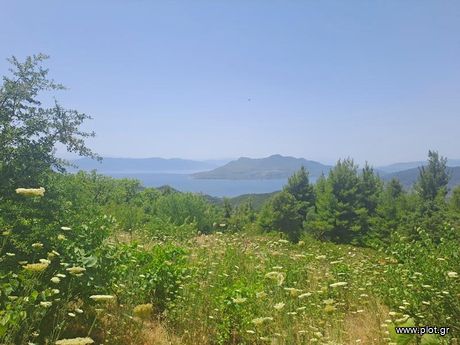 Land plot 6.206sqm for sale-Messapia » Kamaritsa