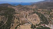 Αγροτεμάχια 8.736τ.μ. για πώληση-Κρανίδι » Φούρνοι