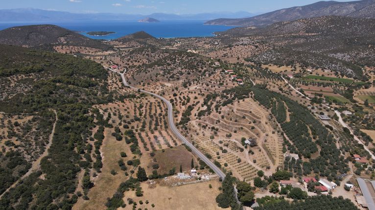 Αγροτεμάχια 8.736 τ.μ. για πώληση, Αργολίδα, Κρανίδι