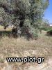 Land plot 338sqm for sale-Artemida (Loutsa) » Vorineza