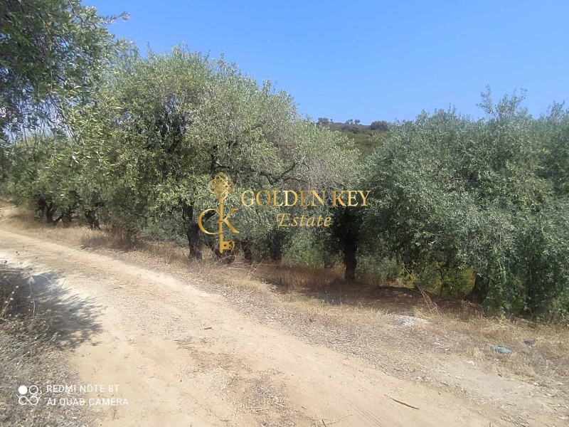 Αγροτεμάχια 36.000 τ.μ. για πώληση, Ν. Καβάλας, Ελευθερές