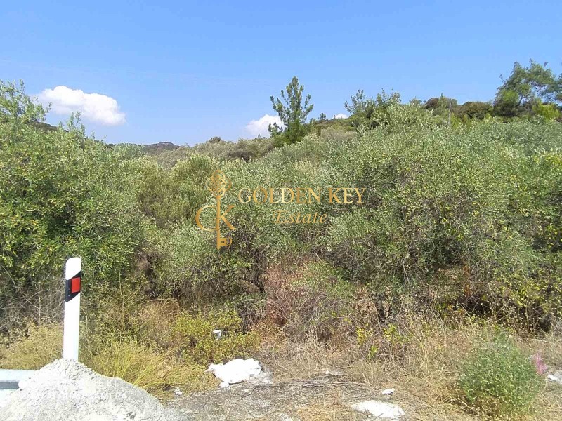 Αγροτεμάχια 1.600 τ.μ. για πώληση, Ν. Καβάλας, Ελευθερές