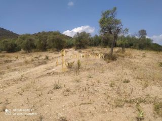 Αγροτεμάχια 5.300 τ.μ. για πώληση, Ν. Καβάλας, Ελευθερές-thumb-3