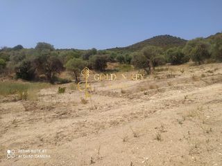 Αγροτεμάχια 5.300 τ.μ. για πώληση, Ν. Καβάλας, Ελευθερές-thumb-5