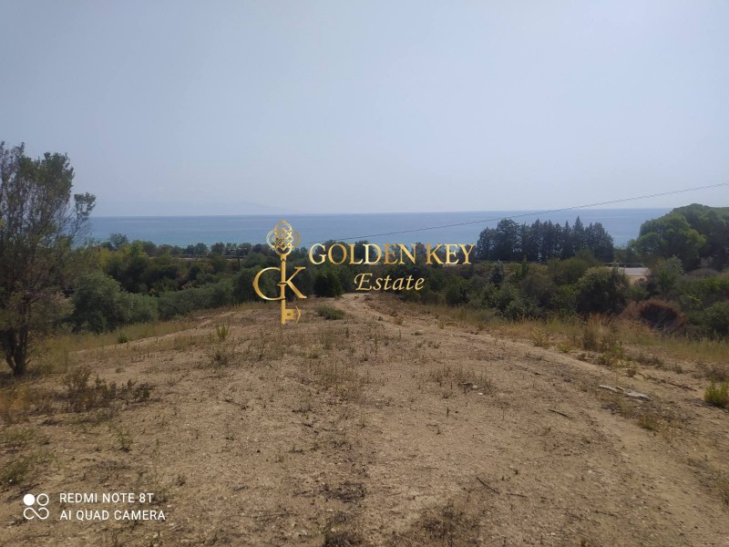 Αγροτεμάχια 5.300 τ.μ. για πώληση, Ν. Καβάλας, Ελευθερές