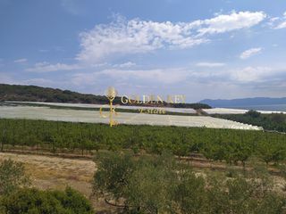 Αγροτεμάχια 25.000 τ.μ. για πώληση, Ν. Καβάλας, Ελευθερές-thumb-8