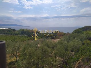 Αγροτεμάχια 25.000 τ.μ. για πώληση, Ν. Καβάλας, Ελευθερές-thumb-11
