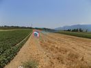 Αγροτεμάχια 13.173τ.μ. για πώληση-Γοργοπόταμος » Μοσχοχώρι