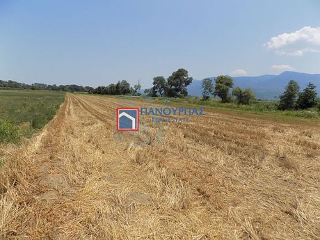 Αγροτεμάχια 20.936τ.μ. για πώληση-Γοργοπόταμος » Μοσχοχώρι