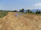 Αγροτεμάχια 20.936τ.μ. για πώληση-Γοργοπόταμος » Μοσχοχώρι