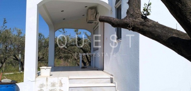Κατοικία 70 τ.μ. πρός πώληση, Εβρος, Αλεξανδρούπολη