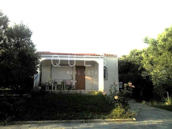 Άλλο 70 τ.μ. για πώληση, Εβρος, Αλεξανδρούπολη