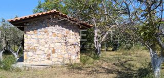 Άλλο 70 τ.μ. για πώληση, Εβρος, Αλεξανδρούπολη-thumb-7