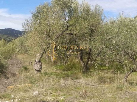 Parcel 4.000sqm for sale-Eleitheres » Paralia Elaiochoriou