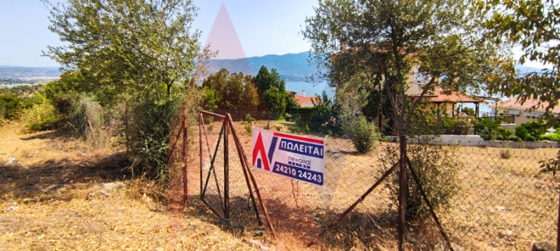 Οικόπεδο 566 τ.μ. πρός πώληση, Μαγνησία, Βόλος