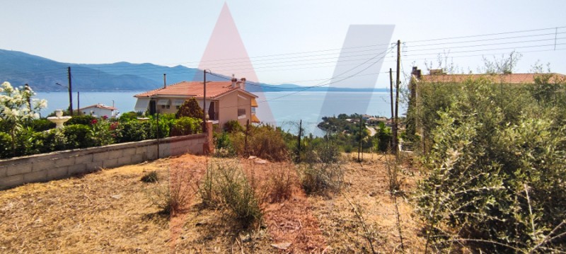 Οικόπεδο 566 τ.μ. πρός πώληση, Μαγνησία, Βόλος