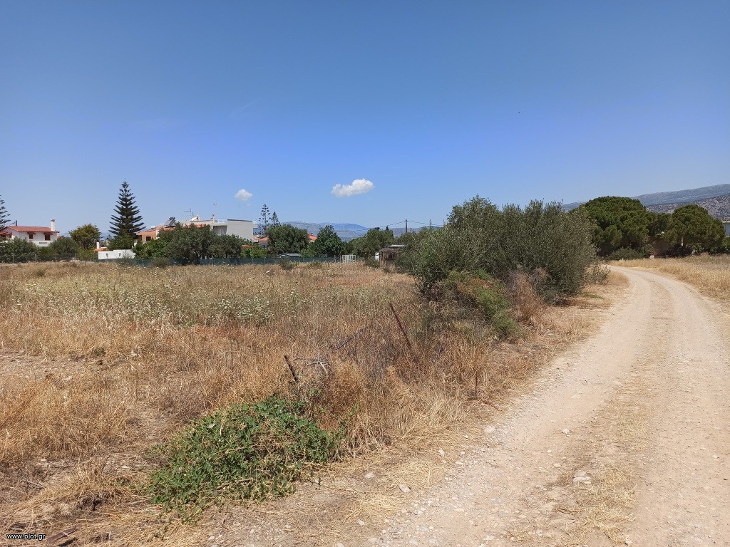 Οικόπεδο 849 τ.μ. πρός πώληση, Αττική - Υπόλοιπο, Αλεποχώρι