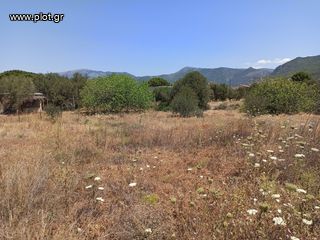 Οικόπεδο 849 τ.μ. πρός πώληση, Αττική - Υπόλοιπο, Αλεποχώρι-thumb-10
