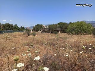 Οικόπεδο 849 τ.μ. πρός πώληση, Αττική - Υπόλοιπο, Αλεποχώρι-thumb-15