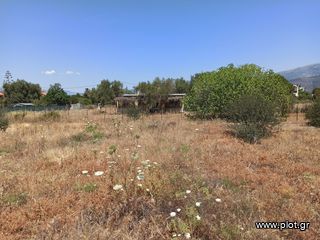 Οικόπεδο 849 τ.μ. πρός πώληση, Αττική - Υπόλοιπο, Αλεποχώρι-thumb-18
