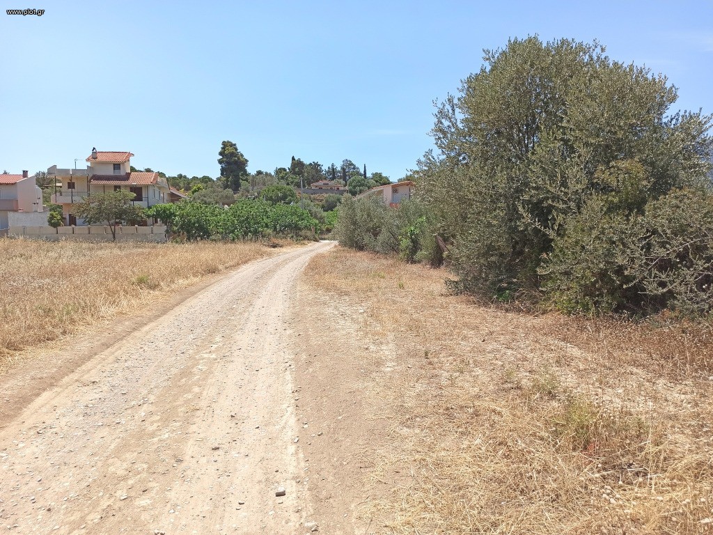 Οικόπεδο 849 τ.μ. πρός πώληση, Αττική - Υπόλοιπο, Αλεποχώρι