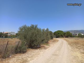 Οικόπεδο 849 τ.μ. πρός πώληση, Αττική - Υπόλοιπο, Αλεποχώρι-thumb-8