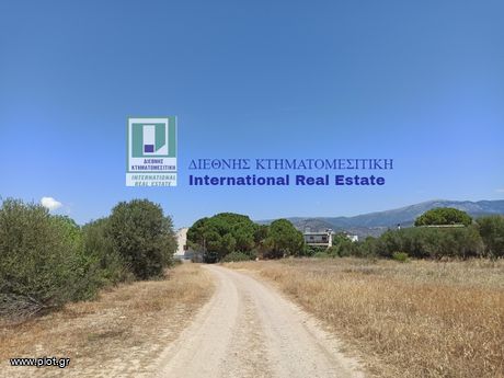 Οικόπεδο 849τ.μ. για πώληση-Αλεποχώρι