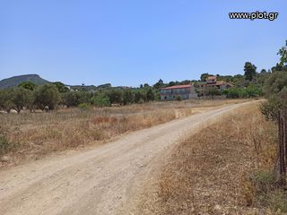Οικόπεδο 849 τ.μ. πρός πώληση, Αττική - Υπόλοιπο, Αλεποχώρι-thumb-16