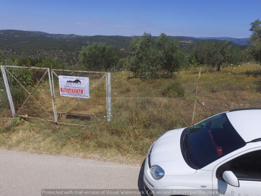 Αγροτεμάχια 21.954 τ.μ. προς πώληση, Φυτόκο