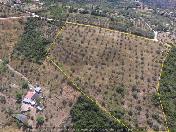 Αγροτεμάχια 21.954 τ.μ. για πώληση, Μαγνησία, Μακρινίτσα