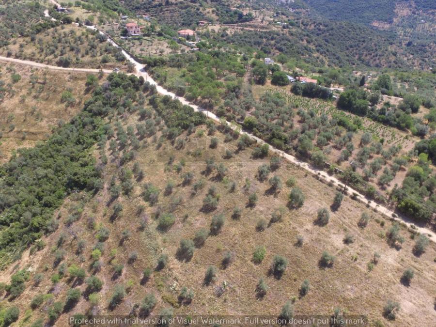 Αγροτεμάχια 21.954 τ.μ. προς πώληση, Φυτόκο