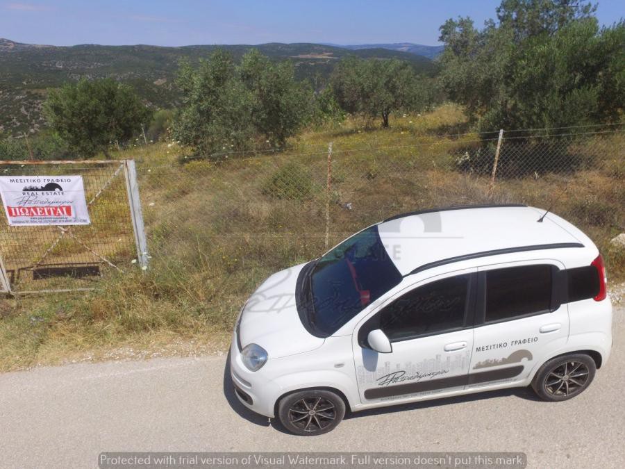 Αγροτεμάχια 21.954 τ.μ. προς πώληση, Φυτόκο