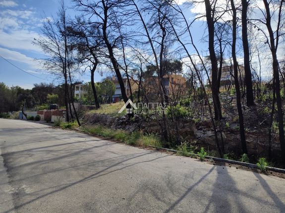 Land plot 1.020 sqm for sale, Phthiotis, Malesina