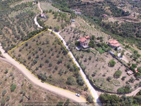 Αγροτεμάχια 5.116τ.μ. για πώληση-Μακρινίτσα » Φυτόκο