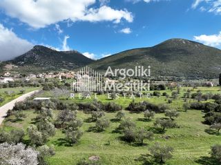 Αγροτεμάχια 10.579 τ.μ. για πώληση