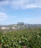 Parcel 9.500sqm for sale-Nemea » Koutsi