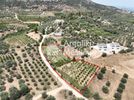 Parcel 4.000sqm for sale-Nafplio » Lefkakia